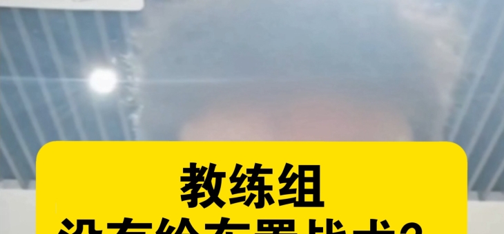 球队主教练在比赛中频频调整战术